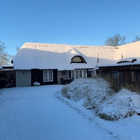 Farm61 Badehotellet I Det Midtjydske - Alder +18 Ar Tjele Extérieur photo