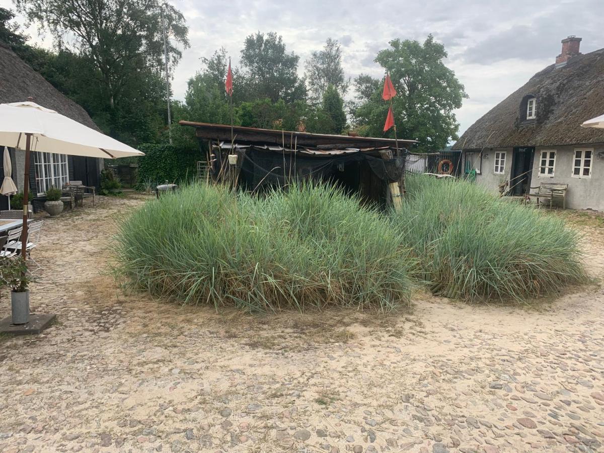 Farm61 Badehotellet I Det Midtjydske - Alder +18 Ar Tjele Extérieur photo
