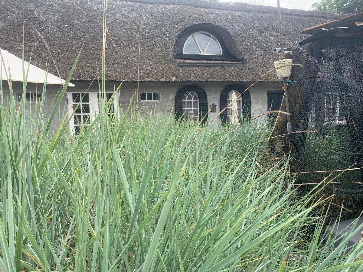 Farm61 Badehotellet I Det Midtjydske - Alder +18 Ar Tjele Extérieur photo