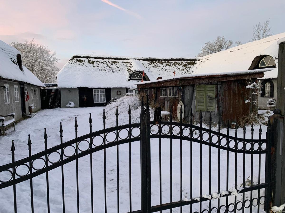 Farm61 Badehotellet I Det Midtjydske - Alder +18 Ar Tjele Extérieur photo